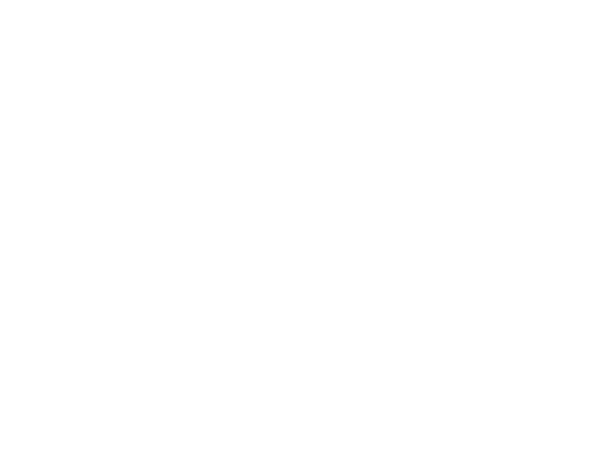 Kybernus